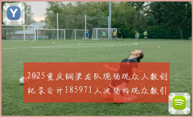 2025重庆铜梁龙队现场观众人数创纪录合计185971人次场均观众数引发热议