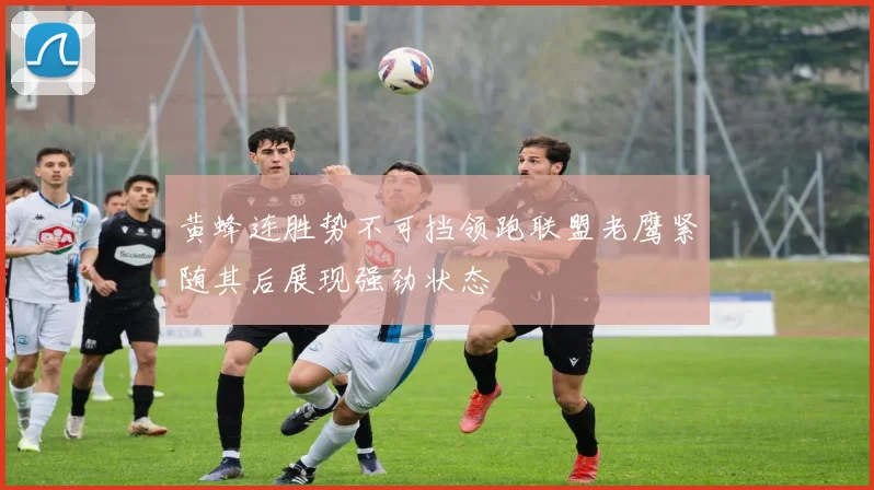 黄蜂连胜势不可挡领跑联盟老鹰紧随其后展现强劲状态