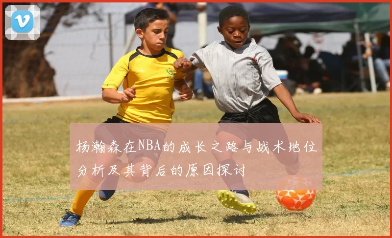 杨瀚森在NBA的成长之路与战术地位分析及其背后的原因探讨