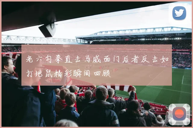 老六勾拳直击马威面门后者反击如打地鼠精彩瞬间回顾