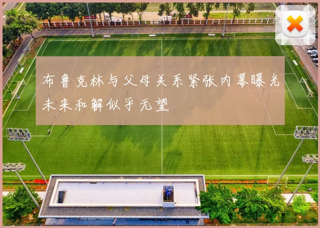 布鲁克林与父母关系紧张内幕曝光未来和解似乎无望