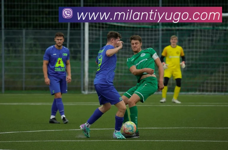 米兰体育全站App