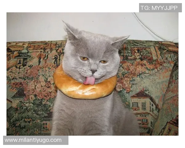 伊森妈妈调侃卡鲁索防守表现真是让人哭笑不得的精彩瞬间