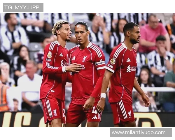 英超六队欧冠战绩出色胜率超六成不败率接近八成 英超六队欧冠战绩出色胜率超六成不败率接近八成